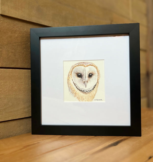 M. Brewer watercolour- Barn Owl