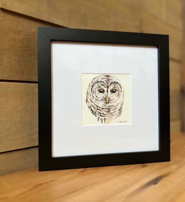 M. Brewer watercolour- Barred Owl