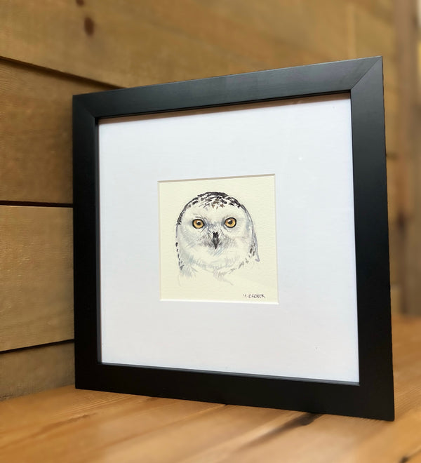 M. Brewer watercolour- Snowy Owl