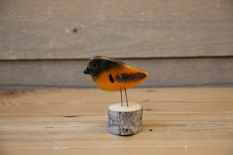 The Glass Bakery - Perched Oriole - Chick