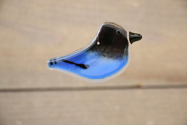 The Glass Bakery - Hanging Steller's Jay - Chick