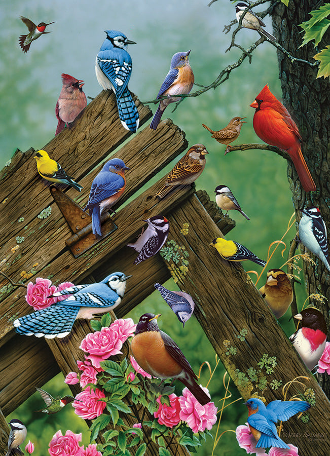 Casse-tête - Birds of the Forest - 1000 morceaux