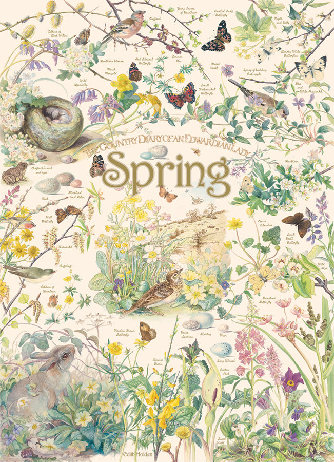 Puzzle - Country Diary: Spring - 1000 pieces