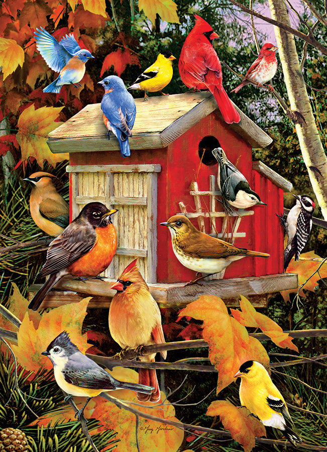 Puzzle - Fall Birds - 1000 pieces