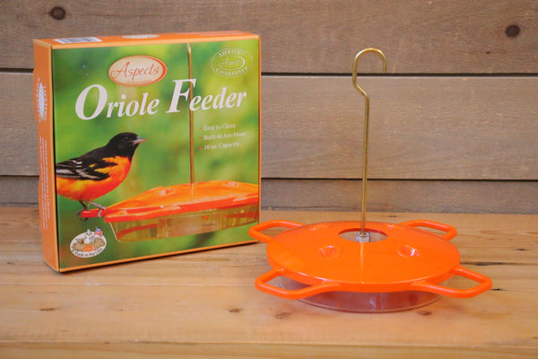 Aspects - Oriole Feeder