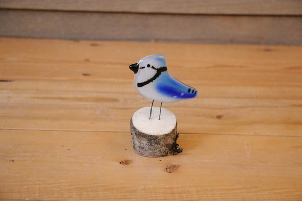 The Glass Bakery - Perched Blue Jay - Chick