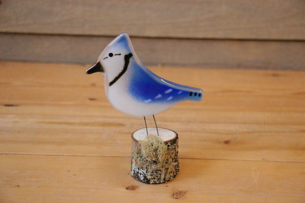The Glass Bakery - Perched Blue Jay - Adult