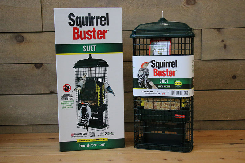 Squirrel Buster - Suet