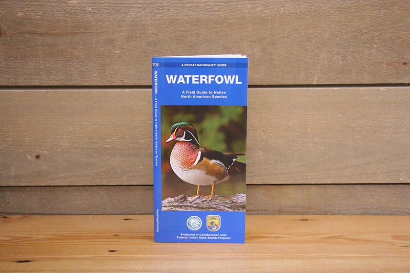 Waterfowl - Pamphlet