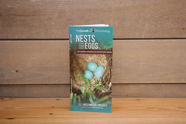 Nests and Eggs of North America Backyard Birds - Pamphlet
