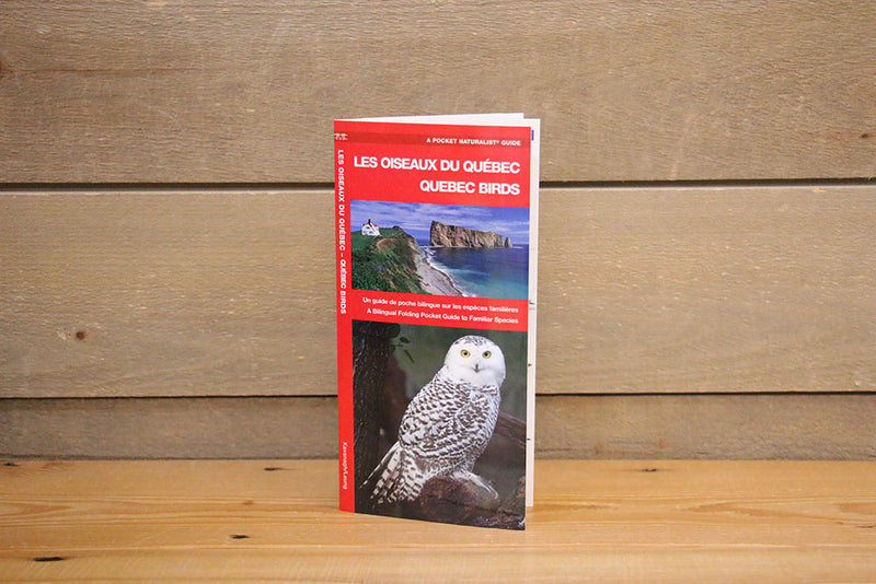 Les oiseaux du Québec - Pamphlet