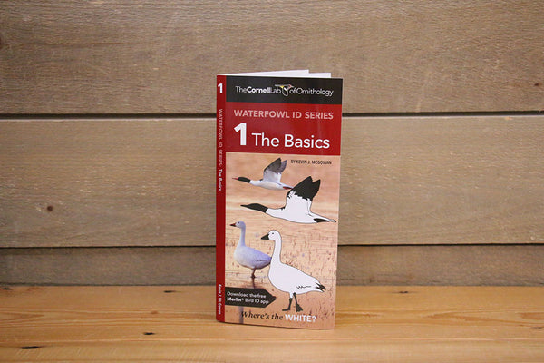 Waterfowl ID 1: The Basics - Pamphlet