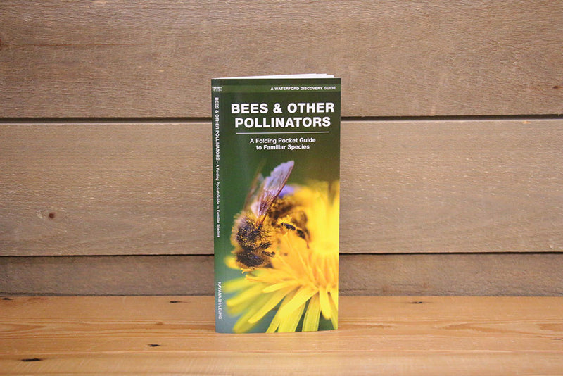 Bees and other pollinators - Pamphlet