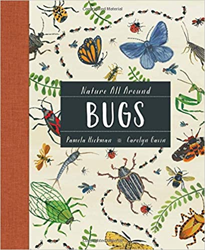 Nature All Around: Bugs - Book