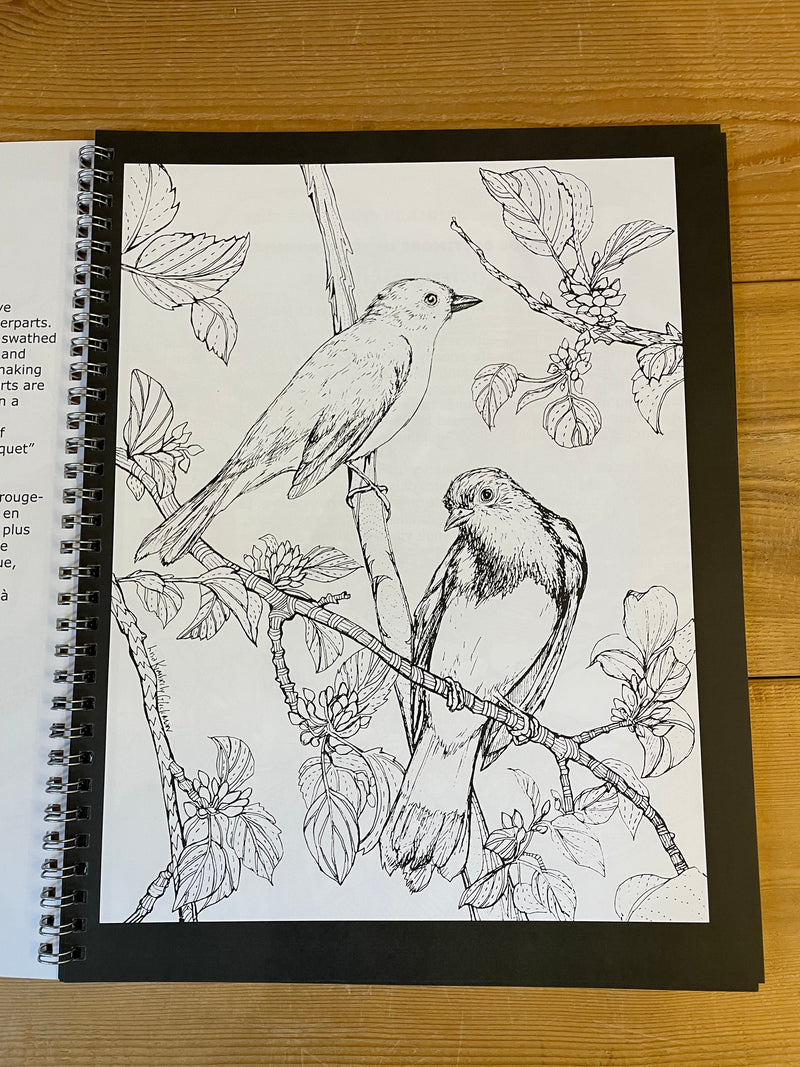 Livre de coloriage : Nos Beaux Oiseaux