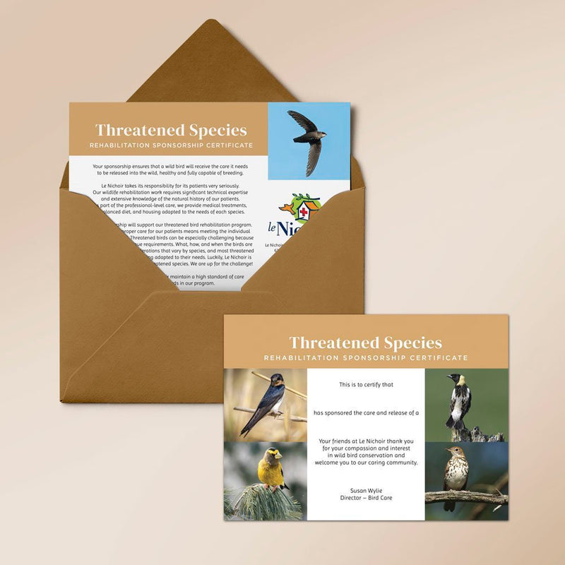 Threatened Species Sponsorship - Wood Thrush