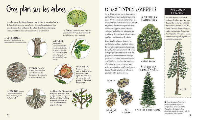 Nature All Around: Trees - Book