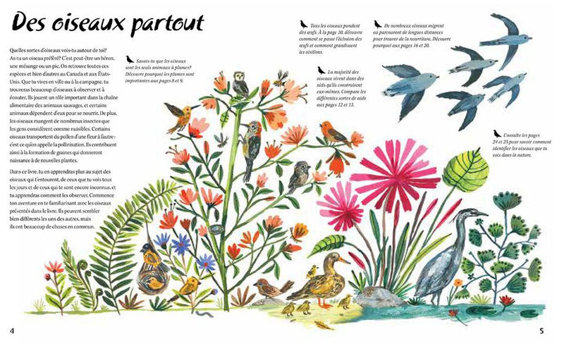 Nature All Around: Birds - Book