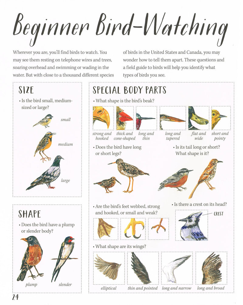 En Pleine Nature : Les Oiseaux - Livre